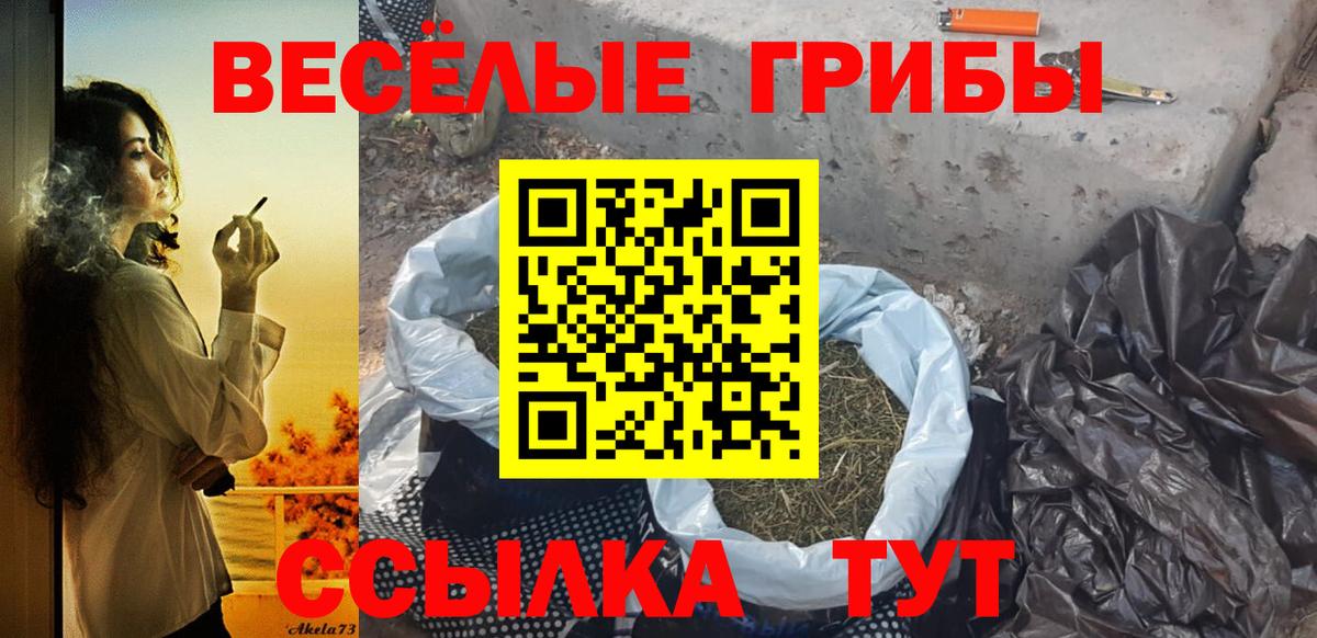 Псилоцибиновые грибы GOLDEN TEACHER Ейск