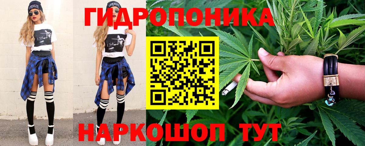 Бошки Шишки план  Вход с VPN  Ейск  Бошки марихуана гибрид  Марихуана планчик 